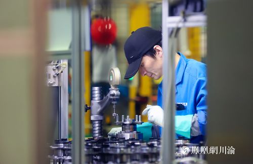 長江軸承 以技術(shù)硬實力撬動全球市場縫隙，打造國際化品牌新標桿